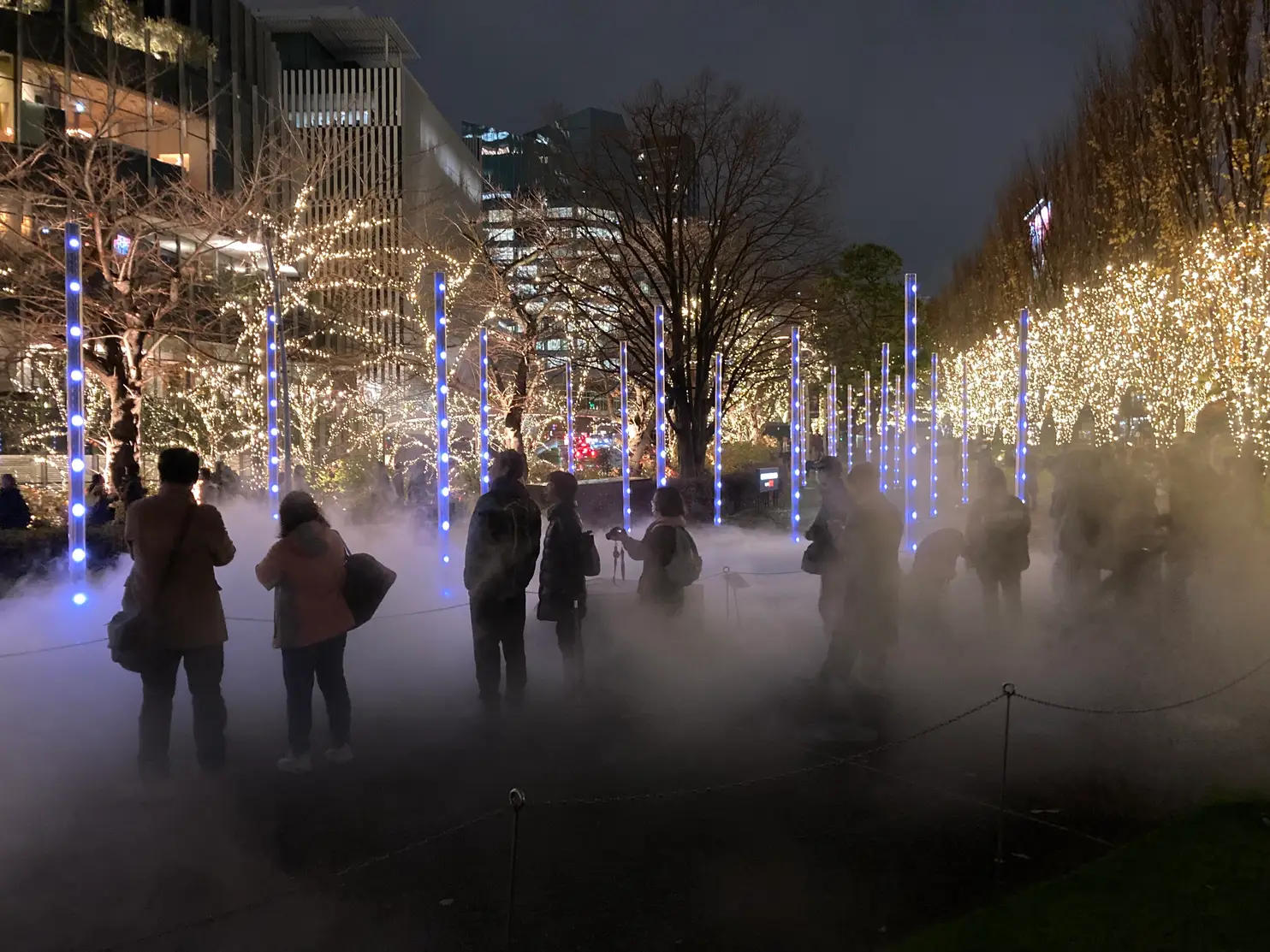 MIDTOWN CHRISTMAS 2023 MIDTOWN WINTER LIGHTS Gold Trees